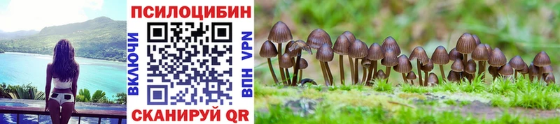 Псилоцибиновые грибы мицелий  Малгобек 